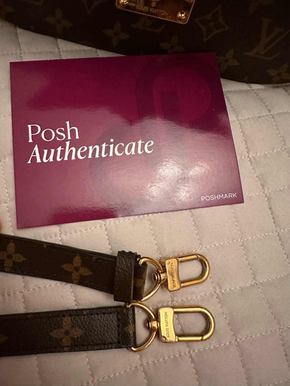 Louis Vuitton Monogram Canvas Eden MM Satchel with Vachetta Trim 2013 - Picture 3 of 15